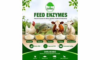 ANIMAL FEED ENZYME