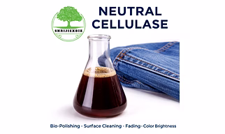 TEXTILE  ENZYME