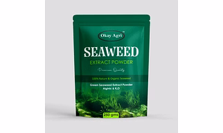 Green Seaweed Powder