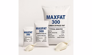 Animal feeding supplement