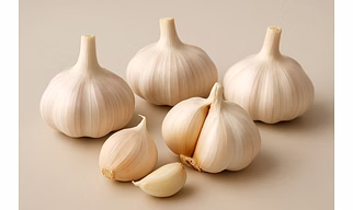 GARLIC