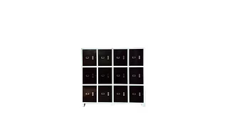 WORKER STORAGE LOCKER (INDUSTRIAL)