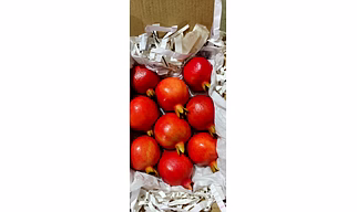 Bhagwa Pomegranate Indian Origin