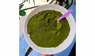 Moringa Oleifera Powder