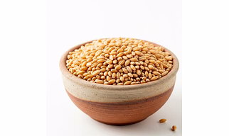 Barley