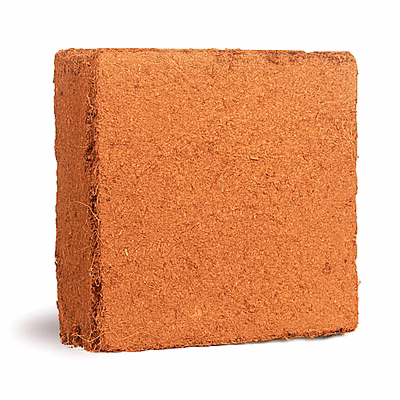 coco peat 5 kg blocks