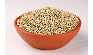 Pearl Millet (Bajra)