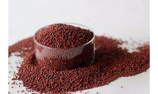 Finger Millet (Ragi)