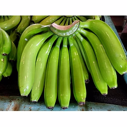 fresh bananas