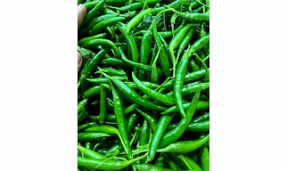 Green Chilly G4