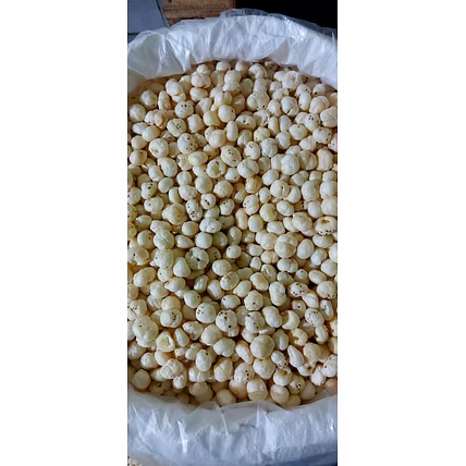 Makhana (Foxnut)-2