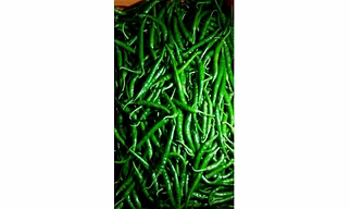 G 4 GREEN CHILLIES.