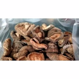 shiitake mushroom