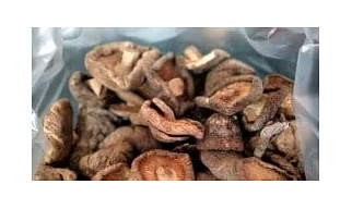 SHIITAKE MUSHROOM