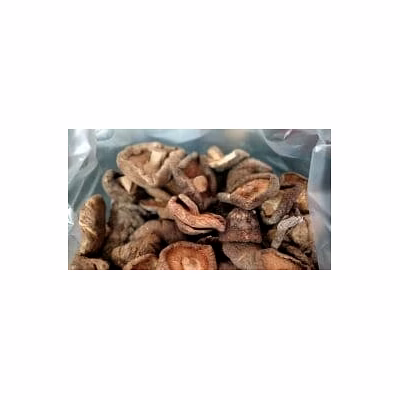 shiitake mushroom