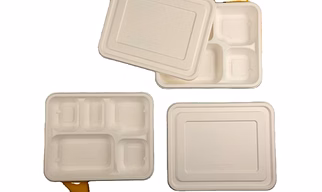 Bagasse Meal Trays – Biodegradable Food Trays with Compartments | Subera International