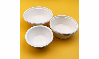 Bagasse Bowls & Lids – Eco-Friendly, Compostable Food Bowls | Subera International