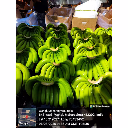 Cavendish Banana-3