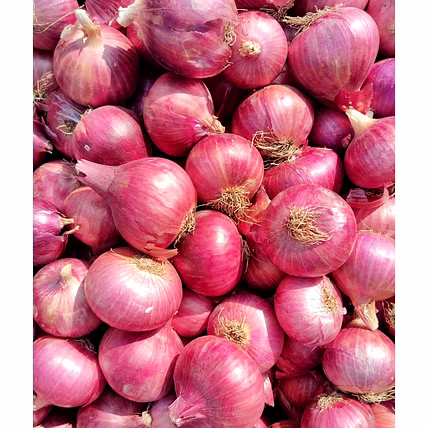 Onions-1