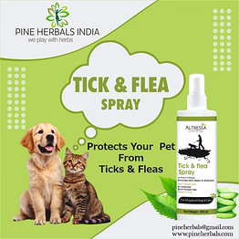 tick & flea spray