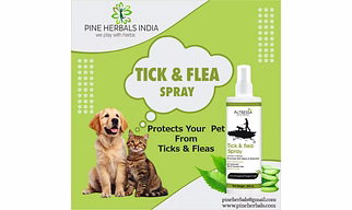 TICK & FLEA SPRAY