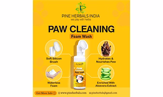PAW CLEANING FOAM WASH