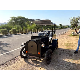 electric car (golf cart)