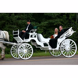 iron wooden horse carriage