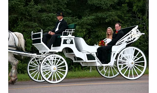 Iron wooden Horse Carriage