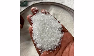 Sugar cane sugar