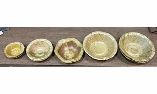 Sal Leaves Bowl