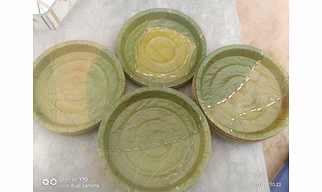 Sal/siali Leaves Plates