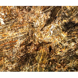 himalayan gold