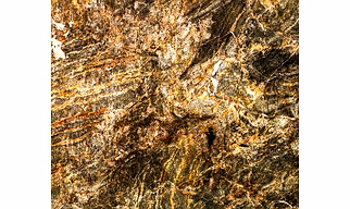 Himalayan Gold