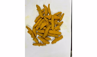 Salem-turmeric-finger