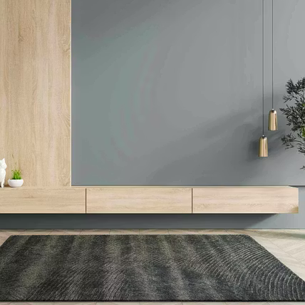 Modern Textured Area Rug, Dark Gray, Plush Shag Pattern, Contemporary Living Room Carpet-12749213