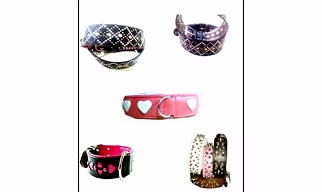 Dog Collars And Toys