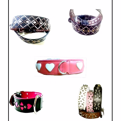 dog collars and toys