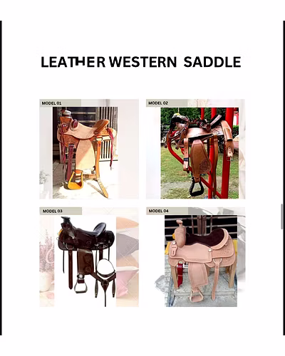 Horse Saddlery-5