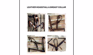 Horse Saddlery