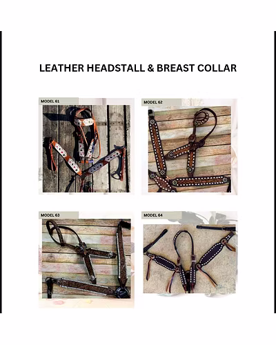 Horse Saddlery-2