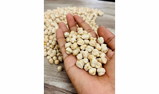Kabuli chickpeas