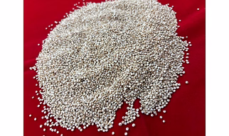 Quinoa