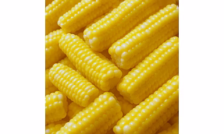 Premium Quality Baby Corn