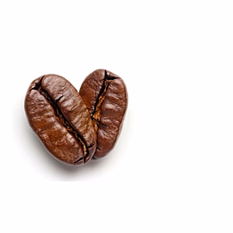 exelsa coffee