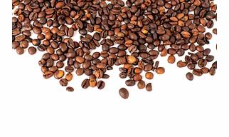giesha coffee