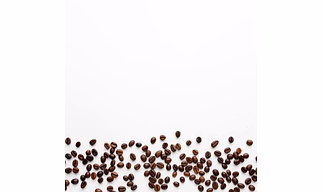 ROBUSTA COFFEE