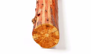 CEDARWOODS LOGS