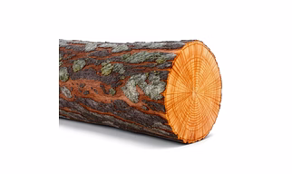 SPRUCE TIMBER
