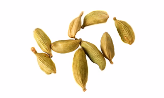 CARDAMON